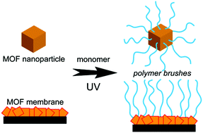 Graphical abstract: Polymer brushes on metal–organic frameworks by UV-induced photopolymerization