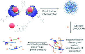 Graphical abstract: Responsive microgels with supramolecular crosslinks: synthesis and triggered degradation in aqueous medium