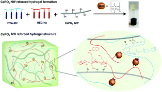 Graphical abstract: Hybrid organic–inorganic supramolecular hydrogel reinforced with CePO4 nanowires