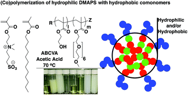 Graphical abstract: Synthesis of zwitterionic, hydrophobic, and amphiphilic polymers via RAFT polymerization induced self-assembly (PISA) in acetic acid