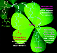 Graphical abstract: Different amine-functionalized poly(diphenylsubstituted acetylenes) from the same precursor