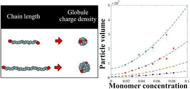 Graphical abstract: The next step in precipitation polymerization of N-isopropylacrylamide: particle number density control by monochain globule surface charge modulation
