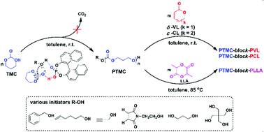 Graphical abstract: Polymerization of trimethylene carbonates using organic phosphoric acids