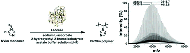 Graphical abstract: Laccase-catalyzed controlled radical polymerization of N-vinylimidazole