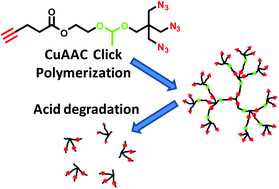 Graphical abstract: Synthesis of acid-degradable hyperbranched polymers by chain-growth CuAAC polymerization of an AB3 monomer