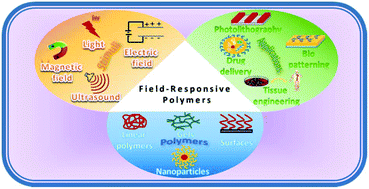 Graphical abstract: Field responsive materials: photo-, electro-, magnetic- and ultrasound-sensitive polymers