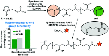 Graphical abstract: Facile one-pot/one-step synthesis of heterotelechelic N-acylated poly(aminoester) macromonomers for carboxylic acid decorated comb polymers