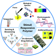 Graphical abstract: Stimuli-responsive polymers and their applications