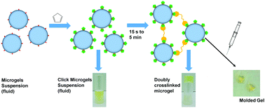 Graphical abstract: Click reactive microgels as a strategy towards chemically injectable hydrogels