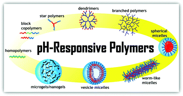 Graphical abstract: pH-Responsive polymers