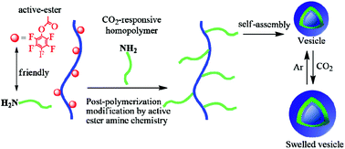 Graphical abstract: CO2-Responsive graft copolymers: synthesis and characterization