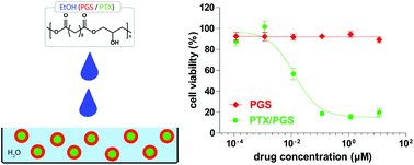 Graphical abstract: Poly(glycerol sebacate) nanoparticles for encapsulation of hydrophobic anti-cancer drugs