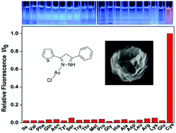 Graphical abstract: A gold(i)–pyrazolato complex as a switch-on luminescent probe for cysteine: in situ formation of fluorescent nanoparticles and rose-like microspheres