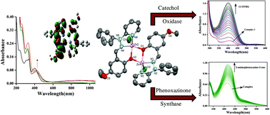 Graphical abstract: Radical pathways and O2 participation in benzyl alcohol oxidation, and catechol and o-aminophenol oxidase activity studies with novel zinc complexes: an experimental and theoretical investigation
