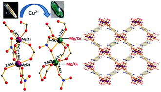 Graphical abstract: A microporous Mg2+ MOF with cation exchange properties in a single-crystal-to-single-crystal fashion