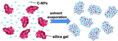 Graphical abstract: A dual solvent evaporation route for preserving carbon nanoparticle fluorescence in silica gel and producing white light-emitting diodes