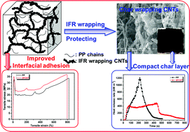Graphical abstract: Simultaneously improving the mechanical properties and flame retardancy of polypropylene using functionalized carbon nanotubes by covalently wrapping flame retardants followed by linking polypropylene
