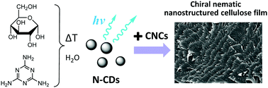 Graphical abstract: Chiroptical luminescent nanostructured cellulose films