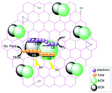 Graphical abstract: Graphene oxide coupled carbon nitride homo-heterojunction photocatalyst for enhanced hydrogen production
