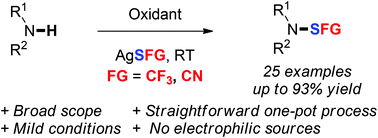 Graphical abstract: Oxidative trifluoromethylthiolation and thiocyanation of amines: a general approach to N–S bond formation