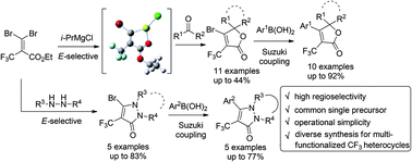 Graphical abstract: 3,3-Dibromo-2-trifluoromethyl acrylic acid ethyl ester: a versatile platform for the stereoselective preparation of functionalized-α-trifluoromethyl α,β-unsaturated lactones and trifluoromethyl pyrazolinones