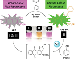 Graphical abstract: Reaction-based indicator displacement assay (RIA) for the colorimetric and fluorometric detection of hydrogen peroxide