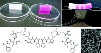 Graphical abstract: Self-healing hydrogels triggered by amino acids