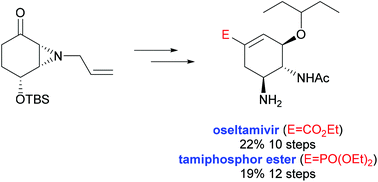 Graphical abstract: Formal enantioselective syntheses of oseltamivir and tamiphosphor