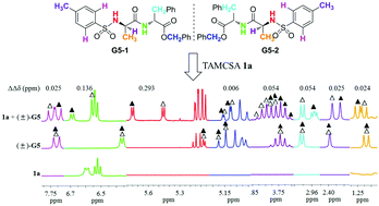 Graphical abstract: Discrimination of enantiomers of dipeptide derivatives with two chiral centers by tetraaza macrocyclic chiral solvating agents using 1H NMR spectroscopy