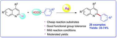 Graphical abstract: AgNO3-catalyzed direct C–H arylation of quinolines by oxidative decarboxylation of aromatic carboxylic acids