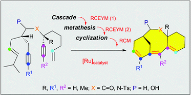 Graphical abstract: One step construction of a taxane-like skeleton by a diendiyne metathesis cyclization reaction