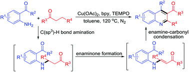 Graphical abstract: Synthesis of 3-acylquinolines through Cu-catalyzed double C(sp3)–H bond functionalization of saturated ketones