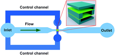 Graphical abstract: Passive flow regulator for precise high-throughput flow rate control in microfluidic environments