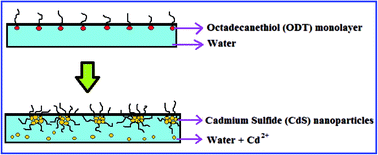 Graphical abstract: Langmuir monolayer assisted formation of cadmium sulfide nanoparticles at the air–water interface and their role in the alignment of bulk liquid crystals