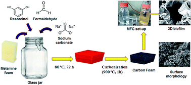 Graphical abstract: Three-dimensional, highly porous N-doped carbon foam as microorganism propitious, efficient anode for high performance microbial fuel cell