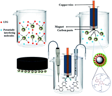 Graphical abstract: Application of magnetic lamotrigine-imprinted polymer nanoparticles as an electrochemical sensor for trace determination of lamotrigine in biological samples