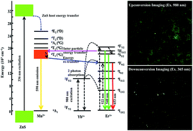 Graphical abstract: Multi-modal imaging of HeLa cells using a luminescent ZnS:Mn/NaGdF4:Yb:Er nanocomposite with enhanced upconversion red emission