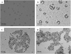 Graphical abstract: Stable monodisperse colloidal spherical gold nanoparticles formed by an imidazolium gemini surfactant-based water-in-oil microemulsion with excellent catalytic performance