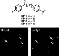 Graphical abstract: Structure–activity relationships of radioiodinated diphenyl derivatives with different conjugated double bonds as ligands for α-synuclein aggregates