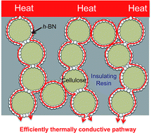 Graphical abstract: Cellulose/boron nitride core–shell microbeads providing high thermal conductivity for thermally conductive composite sheets