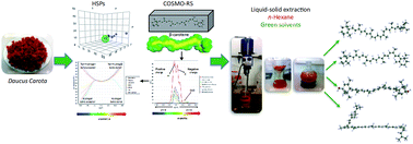 Graphical abstract: Is it possible to substitute hexane with green solvents for extraction of carotenoids? A theoretical versus experimental solubility study