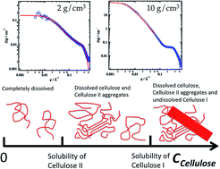 Graphical abstract: On the dissolution state of cellulose in aqueous tetrabutylammonium hydroxide solutions