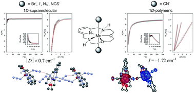 Graphical abstract: Structural and magnetic properties of heptacoordinated MnII complexes containing a 15-membered pyridine-based macrocycle and halido/pseudohalido axial coligands
