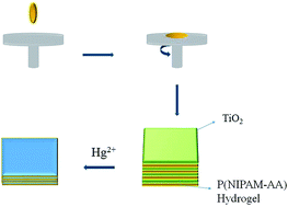 Graphical abstract: Aptamer-functionalized P(NIPAM-AA) hydrogel fabricated one-dimensional photonic crystals (1DPCs) for colorimetric sensing