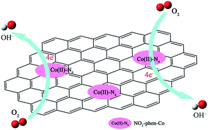Graphical abstract: Electrocatalytic study of a 1,10-phenanthroline–cobalt(ii) metal complex catalyst supported on reduced graphene oxide towards oxygen reduction reaction
