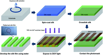 Graphical abstract: Eco-friendly photolithography using water-developable pure silk fibroin