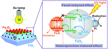 Graphical abstract: Efficiently enhancing the photocatalytic activity of faceted TiO2 nanocrystals by selectively loading α-Fe2O3 and Pt co-catalysts