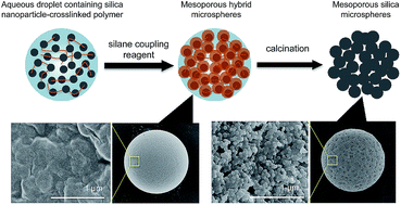 Graphical abstract: Hybrid mesoporous microspheres from aqueous droplets containing a silica nanoparticle–polymer network in a W/O suspension