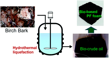 Graphical abstract: Preparation and characterization of bark-derived phenol formaldehyde foams