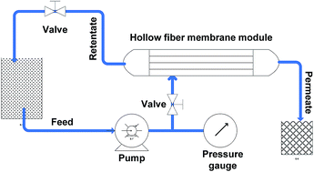 Graphical abstract: Performance and antifouling enhancement of polyethersulfone hollow fiber membranes incorporated with highly hydrophilic hydroxyapatite nanoparticles